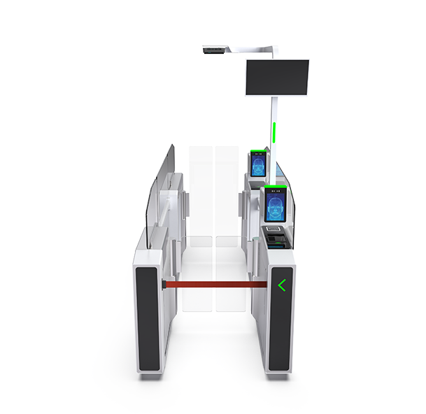 Immigration Control Systems